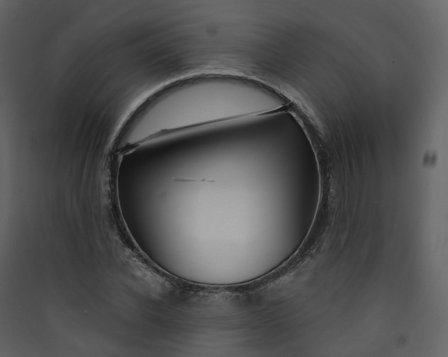 X0000089940926200707131450