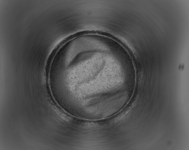 X0000089940927200707131450