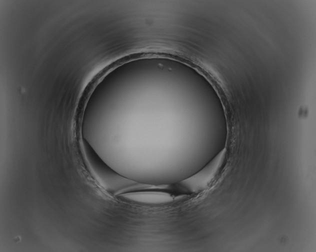 X0000089940928200707131450