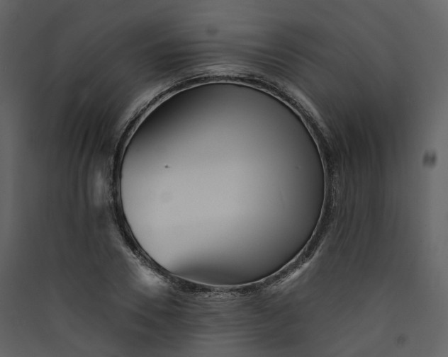 X0000089940930200707131450