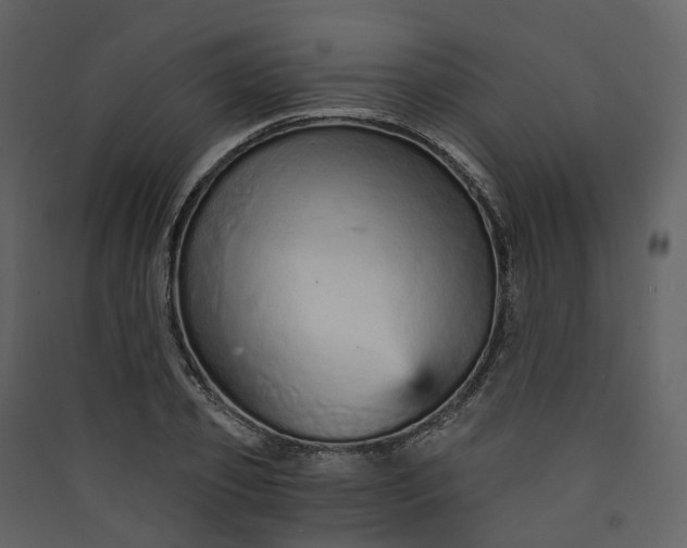 X0000089940933200707131450