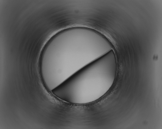 X0000089940934200707131450