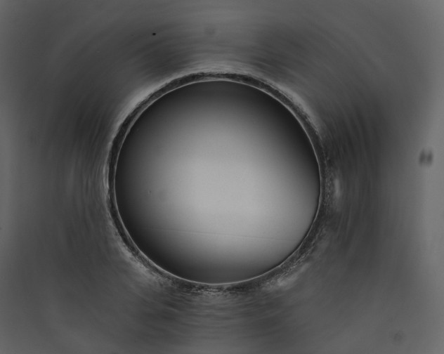 X0000089940935200707131450