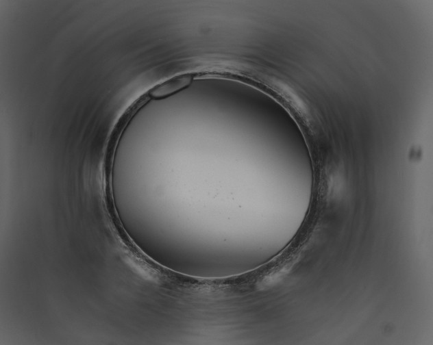 X0000089940936200707131450