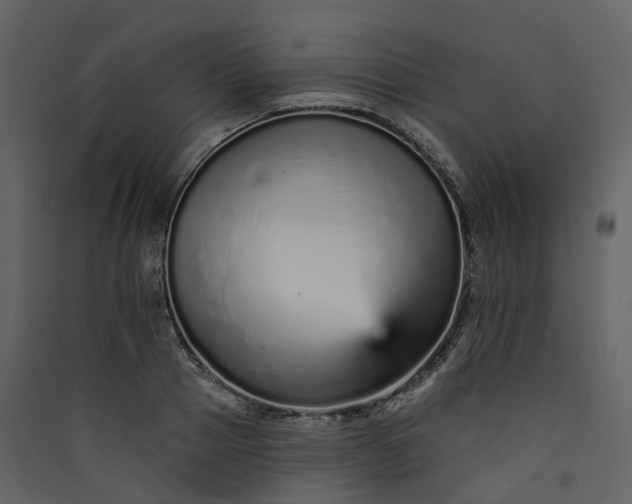 X0000089940937200707131450