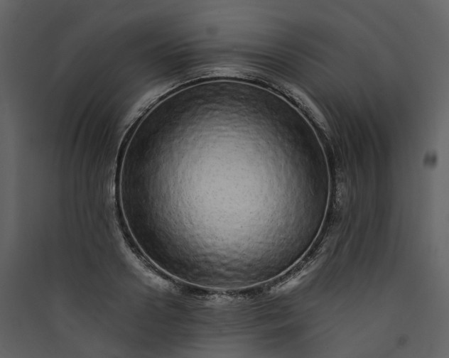 X0000089940938200707131450