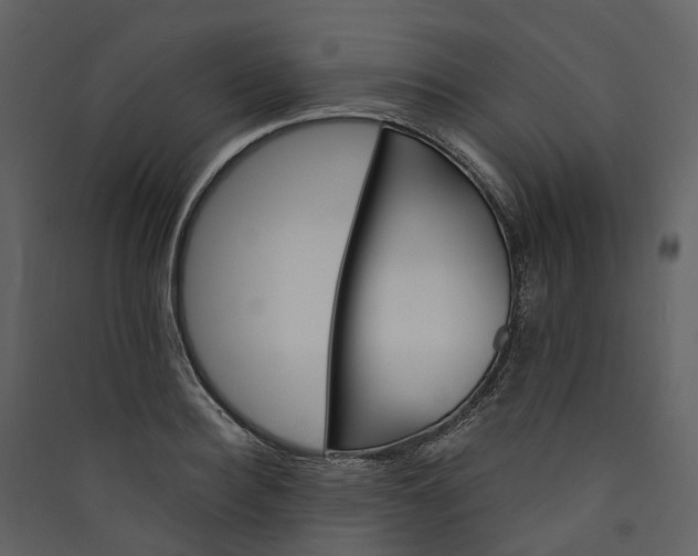 X0000089940940200707131450