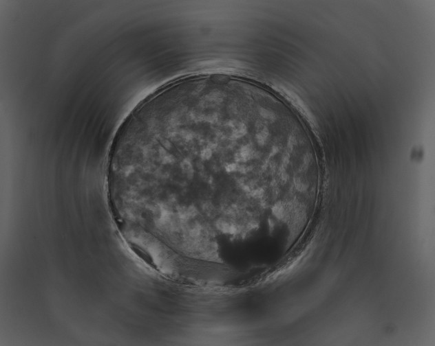 X0000089940941200707131450