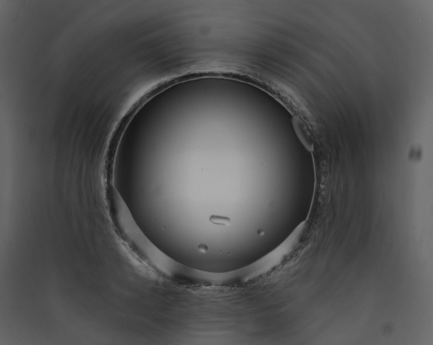 X0000089940942200707131450