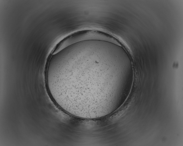 X0000089940943200707131450