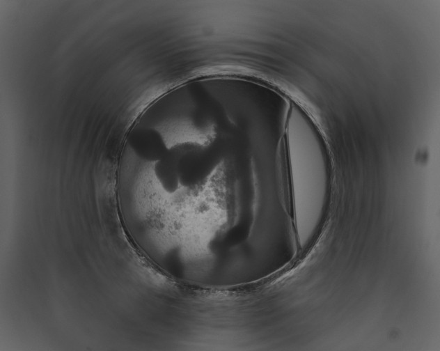 X0000089940945200707131450