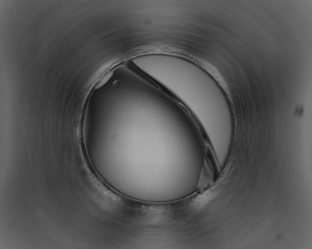 X0000089940946200707131450