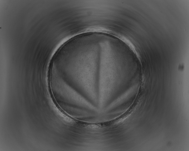 X0000089940947200707131450