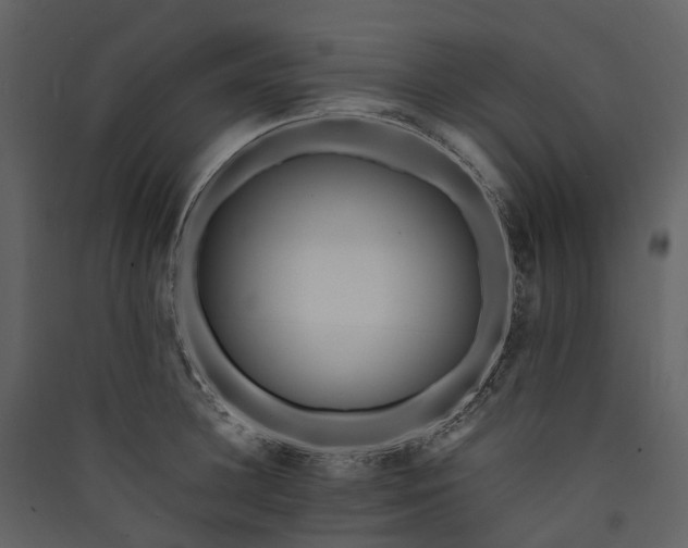 X0000089940948200707131450