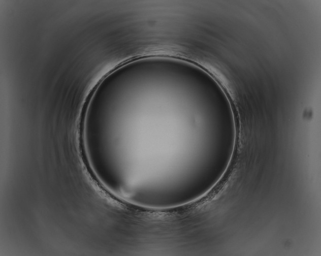 X0000089940949200707131450