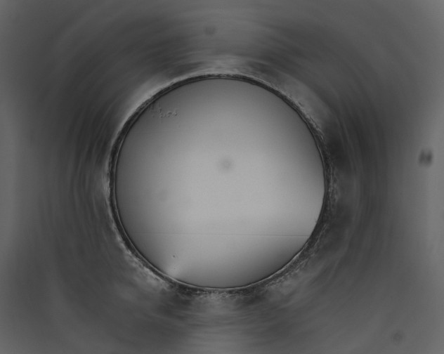 X0000089940950200707131450