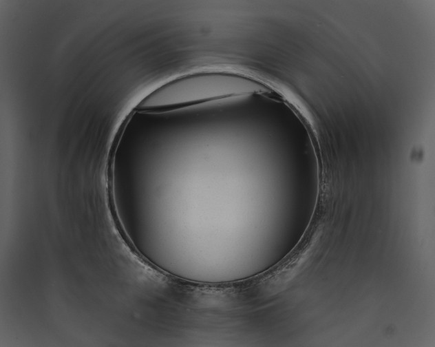 X0000089940951200707131450