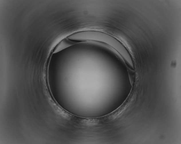 X0000089940952200707131450