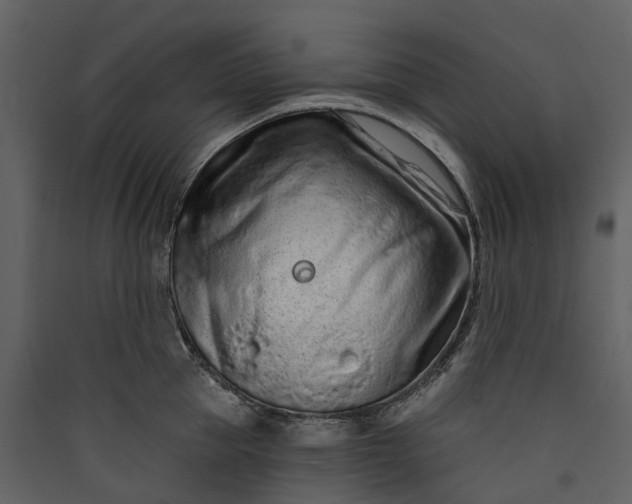 X0000089940953200707131450