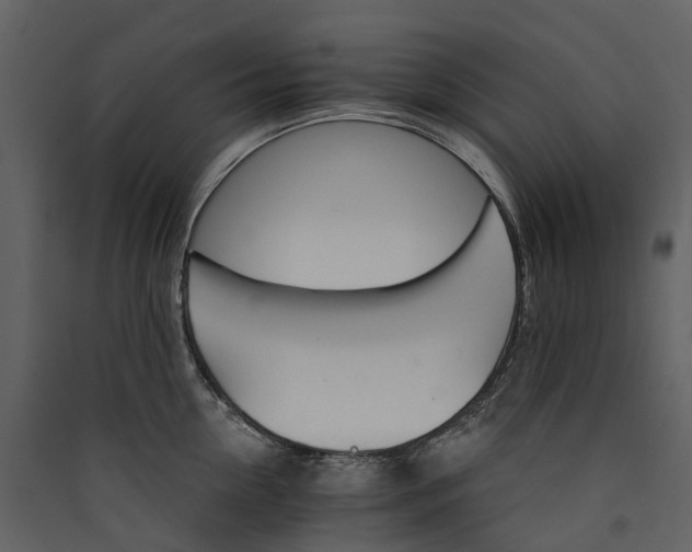 X0000089940954200707131450