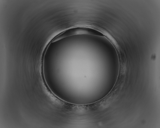 X0000089940955200707131450