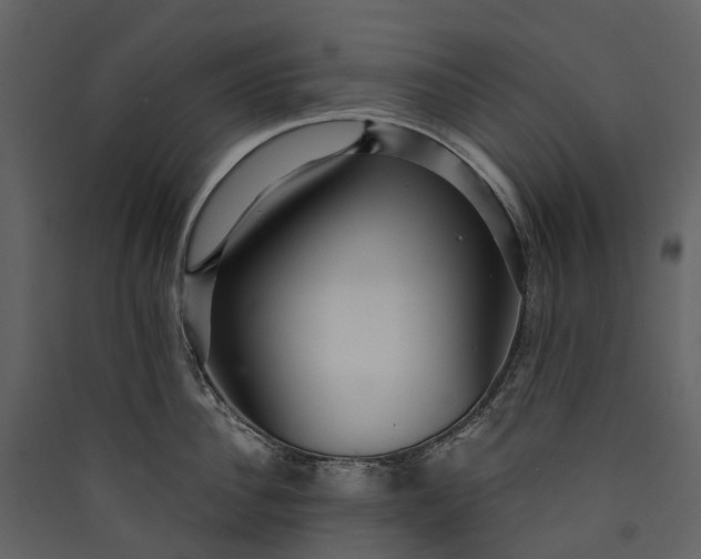 X0000089940956200707131450