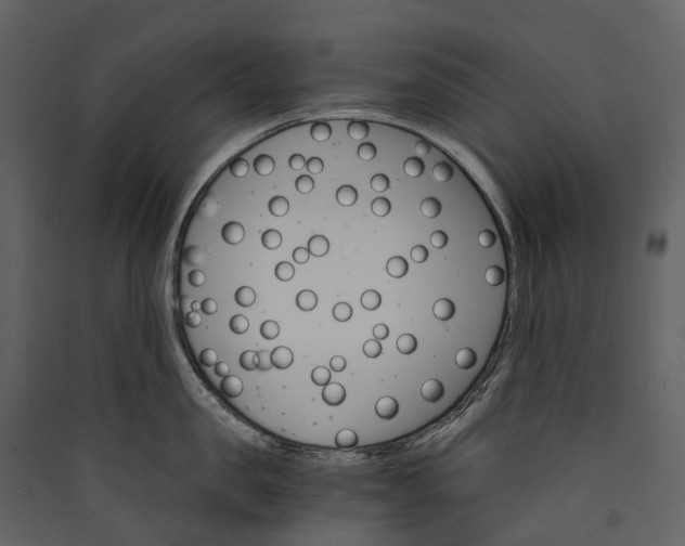 X0000089940957200707131450