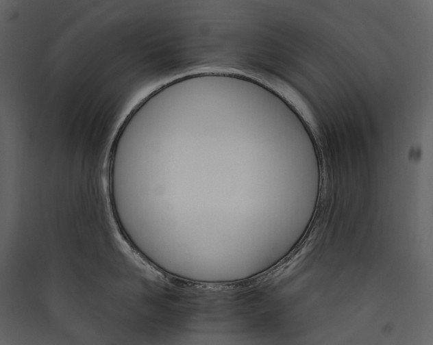 X0000089940958200707131450