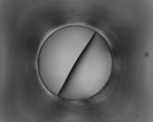 X0000089940959200707131450