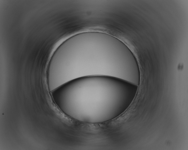 X0000089940960200707131450