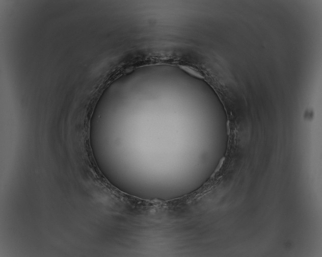 X0000089940961200707131450