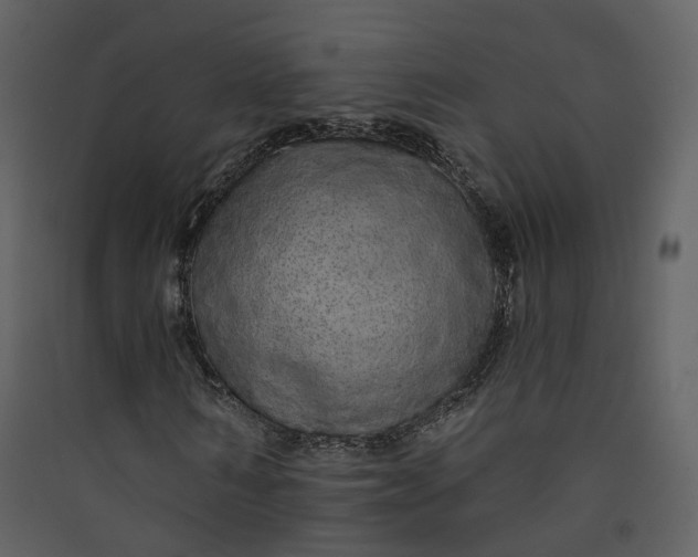 X0000089940962200707131450