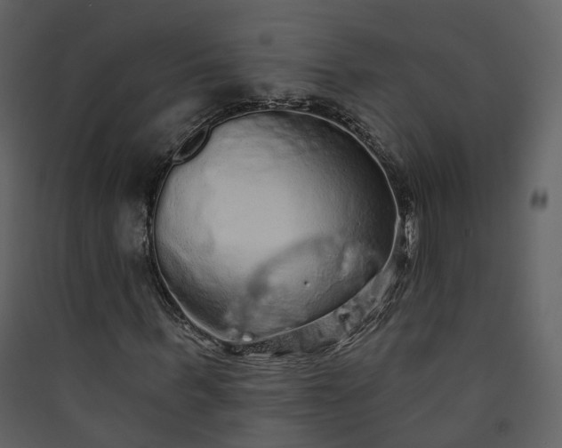 X0000089940963200707131450