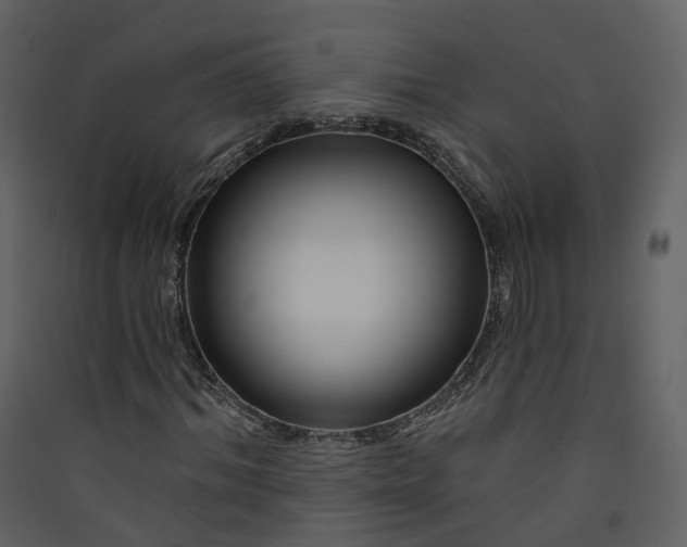 X0000089940964200707131450