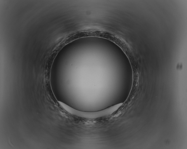 X0000089940965200707131450