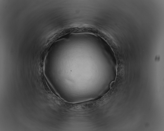 X0000089940966200707131450