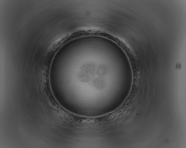 X0000089940967200707131450