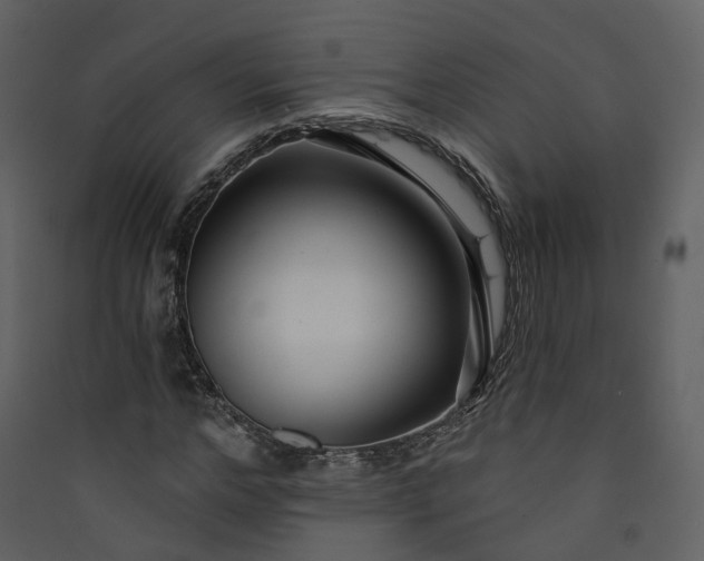 X0000089940968200707131450