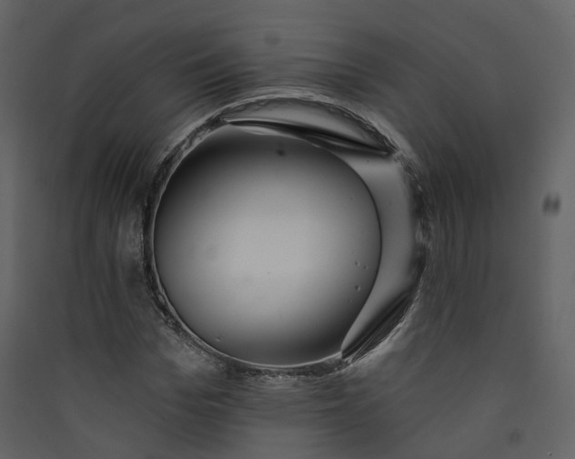 X0000089940969200707131450