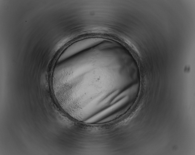 X0000089940970200707131450