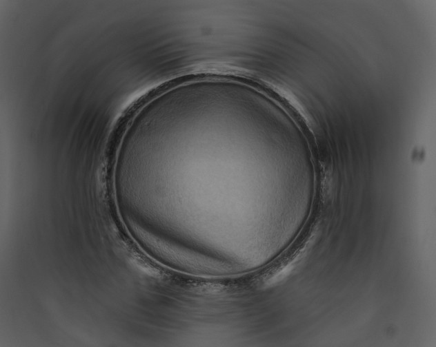 X0000089940971200707131450