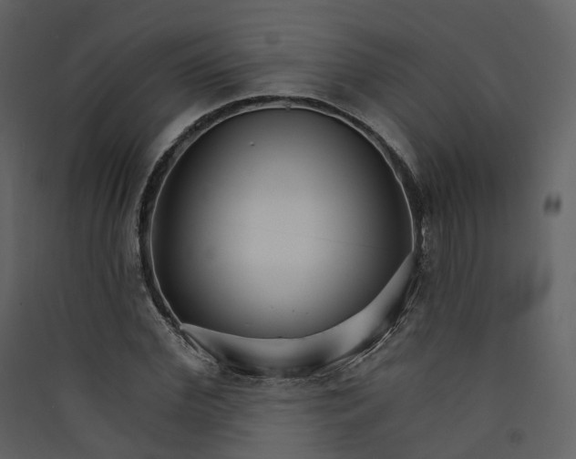 X0000089940972200707131450