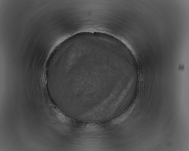 X0000089940974200707131450