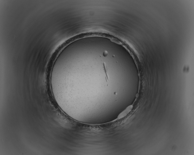 X0000089940975200707131450