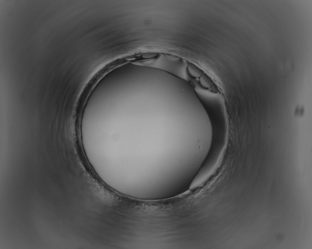 X0000089940976200707131450