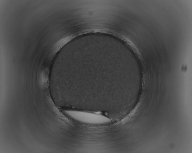 X0000089940977200707131450