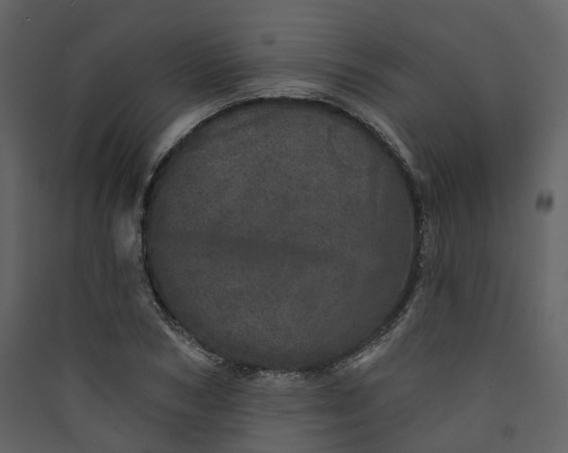 X0000089940978200707131450