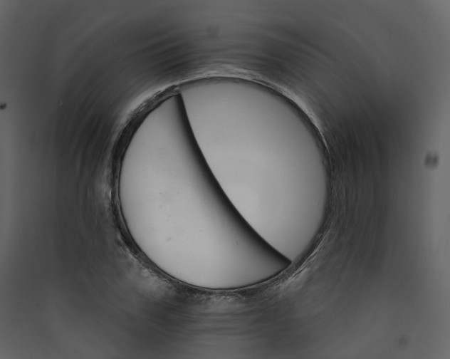 X0000089940979200707131450