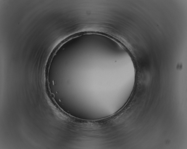 X0000089940980200707131450