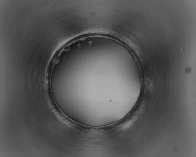 X0000089940981200707131450